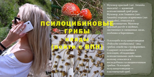 прущие крисы Богородицк