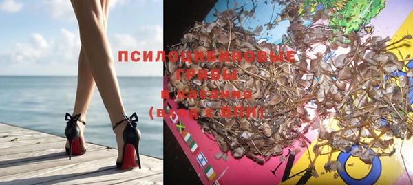прущие крисы Богородицк